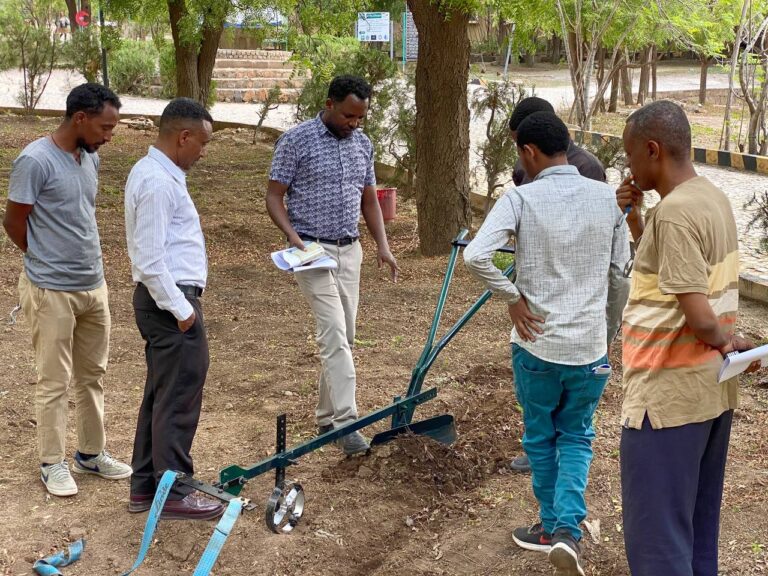 Single animals driven plough